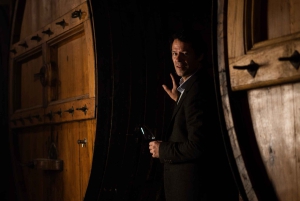 Valle del Douro: tour privato e degustazione guidata di vino e olio d'oliva