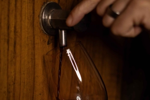 Valle del Douro: tour privato e degustazione guidata di vino e olio d'oliva