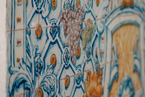 Valle del Douro: tour privato e degustazione guidata di vino e olio d'oliva