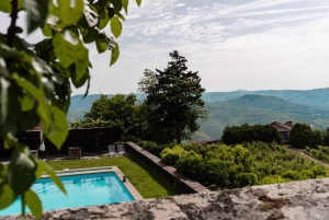 Valle del Douro: tour privato e degustazione guidata di vino e olio d'oliva