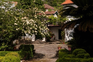 Valle del Douro: tour privato e degustazione guidata di vino e olio d'oliva