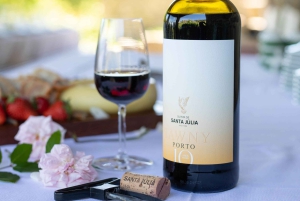 Valle del Douro: tour privato e degustazione guidata di vino e olio d'oliva