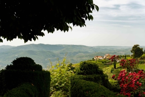 Valle del Douro: tour privato e degustazione guidata di vino e olio d'oliva