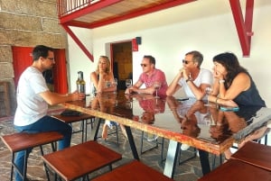 Douro Valley privat tur og vinoplevelse inklusive frokost