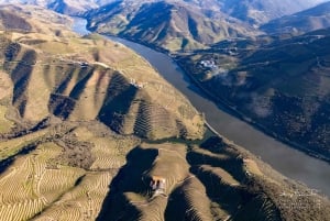 Douro Valley privat tur og vinoplevelse inklusive frokost