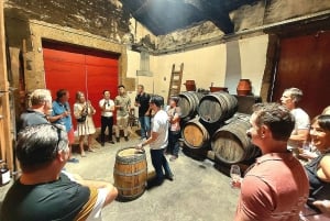 Douro Valley privat tur og vinoplevelse inklusive frokost