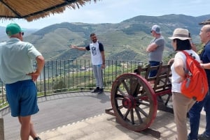 Douro Valley privat tur og vinoplevelse inklusive frokost