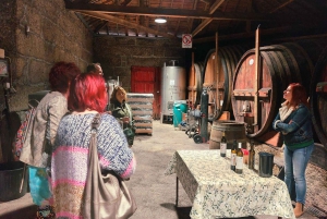 Douro Valley privat tur og vinoplevelse inklusive frokost