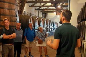 Douro Valley privat tur og vinoplevelse inklusive frokost