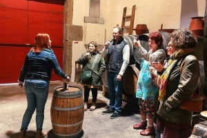 Douro Valley privat tur og vinoplevelse inklusive frokost