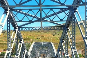 Douro Valley privat tur og vinoplevelse inklusive frokost