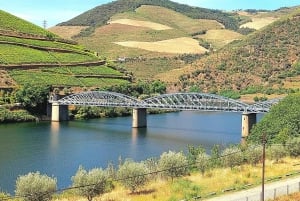 Douro Valley privat tur og vinoplevelse inklusive frokost