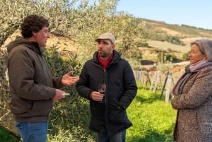 Douro Valley privat tur og vinoplevelse inklusive frokost