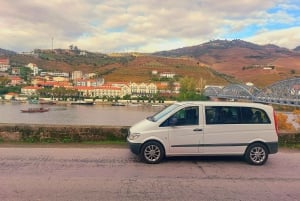 Douro Valley privat tur og vinoplevelse inklusive frokost