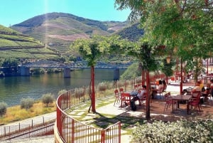 Douro Valley privat tur og vinoplevelse inklusive frokost