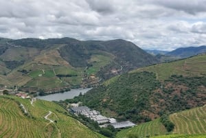 Douro Valley privat tur og vinoplevelse inklusive frokost