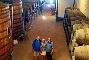 Douro Valley privat tur og vinoplevelse inklusive frokost