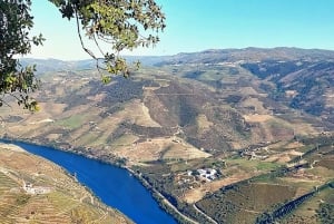 Douro Valley privat tur og vinoplevelse inklusive frokost