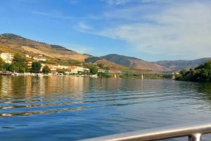 Douro Valley privat tur og vinoplevelse inklusive frokost