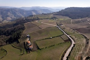 Douro Valley privat tur og vinoplevelse inklusive frokost