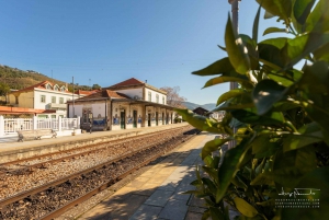 Douro Valley privat tur og vinoplevelse inklusive frokost