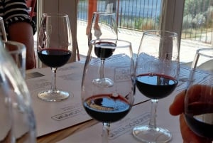 Douro Valley privat tur og vinoplevelse inklusive frokost