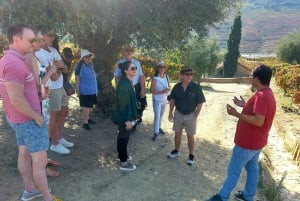 Douro Valley privat tur og vinoplevelse inklusive frokost