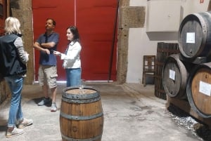 Douro Valley privat tur og vinoplevelse inklusive frokost