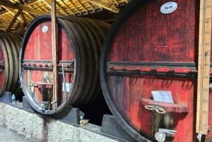 Douro Valley privat tur og vinoplevelse inklusive frokost
