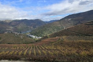 Douro Valley privat tur og vinoplevelse inklusive frokost