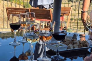 Dourodalen privat tur & vinupplevelse inklusive lunch