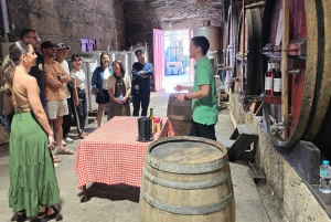 Dourodalen privat tur & vinupplevelse inklusive lunch