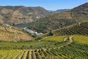 Dourodalen privat tur & vinupplevelse inklusive lunch