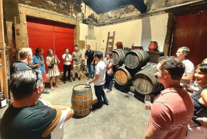 Dourodalen privat tur & vinupplevelse inklusive lunch