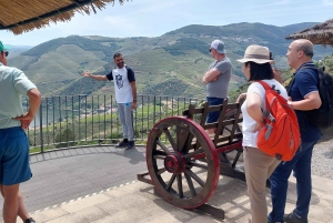 Dourodalen privat tur & vinupplevelse inklusive lunch