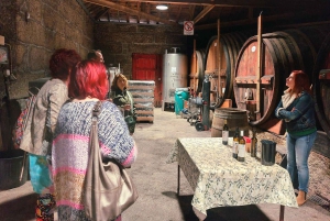 Dourodalen privat tur & vinupplevelse inklusive lunch