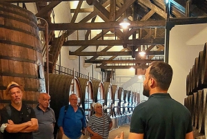 Dourodalen privat tur & vinupplevelse inklusive lunch