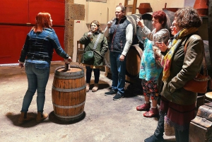 Dourodalen privat tur & vinupplevelse inklusive lunch