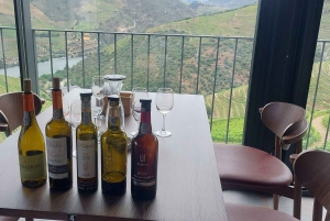 Dourodalen privat tur & vinupplevelse inklusive lunch