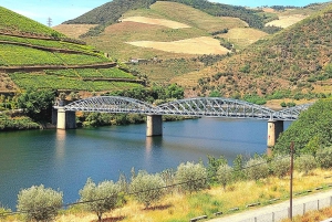 Dourodalen privat tur & vinupplevelse inklusive lunch