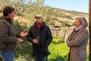 Dourodalen privat tur & vinupplevelse inklusive lunch