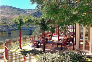 Dourodalen privat tur & vinupplevelse inklusive lunch