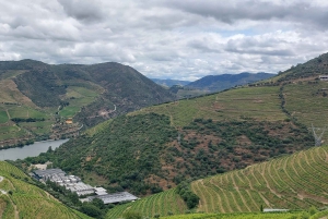 Dourodalen privat tur & vinupplevelse inklusive lunch