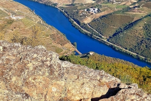 Dourodalen privat tur & vinupplevelse inklusive lunch