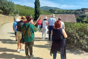 Dourodalen privat tur & vinupplevelse inklusive lunch