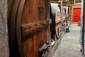 Dourodalen privat tur & vinupplevelse inklusive lunch