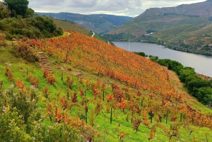 Dourodalen privat tur & vinupplevelse inklusive lunch