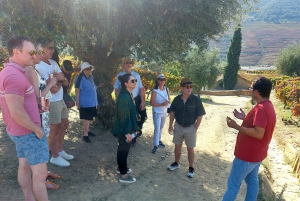 Dourodalen privat tur & vinupplevelse inklusive lunch