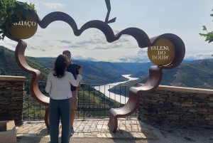 Dourodalen privat tur & vinupplevelse inklusive lunch