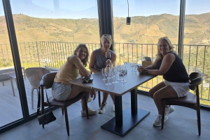 Dourodalen privat tur & vinupplevelse inklusive lunch